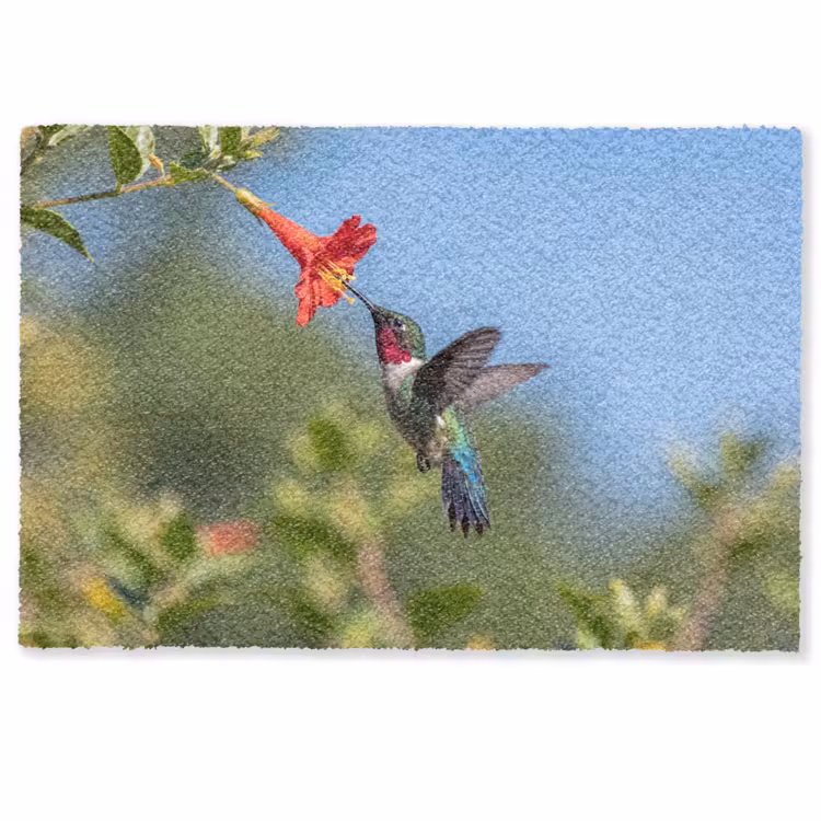 Deurmat - Kolibrie - Bloem - Natuur - Groen — 1