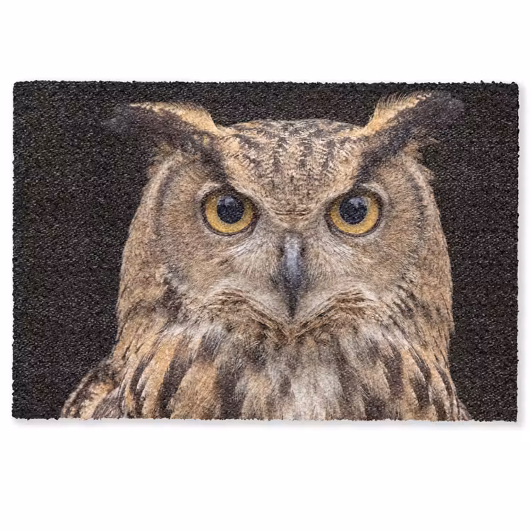 Deurmat - Oehoe - Uil - Portret - Bruin — 1