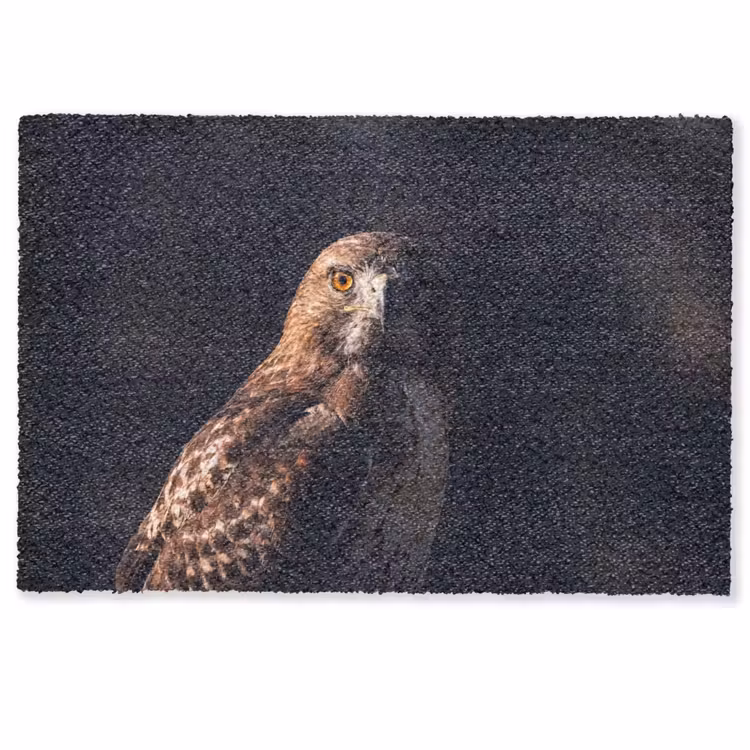 Deurmat - Roofvogel - Buizerd - Bruin — 1