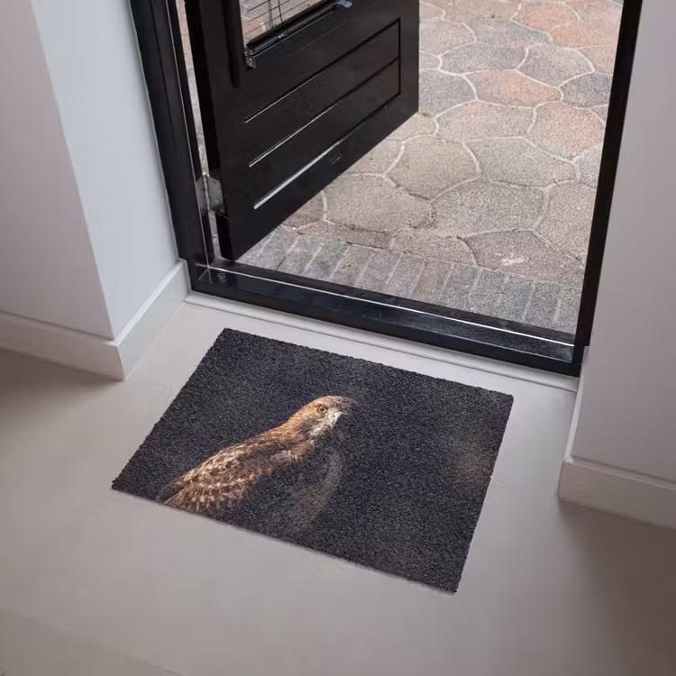 Deurmat - Roofvogel - Buizerd - Bruin — 4