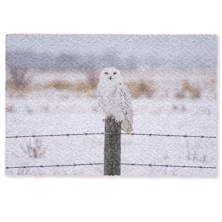 Deurmat - Sneeuwuil - Hek - Sneeuw - Wit — 1