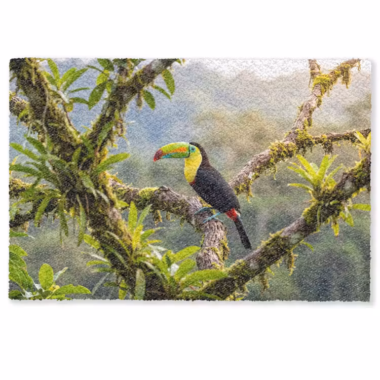 Deurmat - Toekan - Jungle - Natuur - Kleurrijk — 1