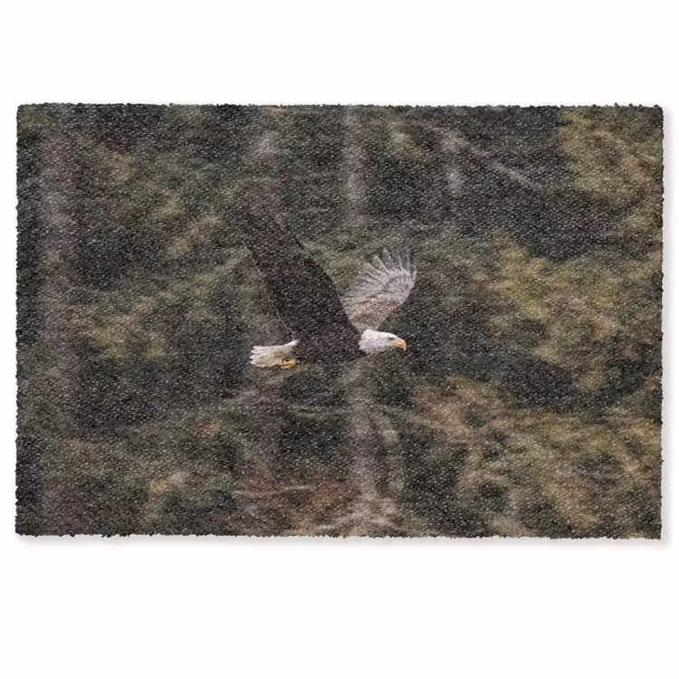 Deurmat - Zeearend - Vliegen - Bos - Natuur — 1