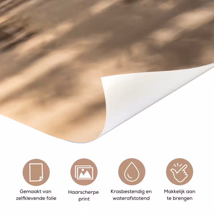Deursticker - Eenden - Water - Mist - Natuur — 3