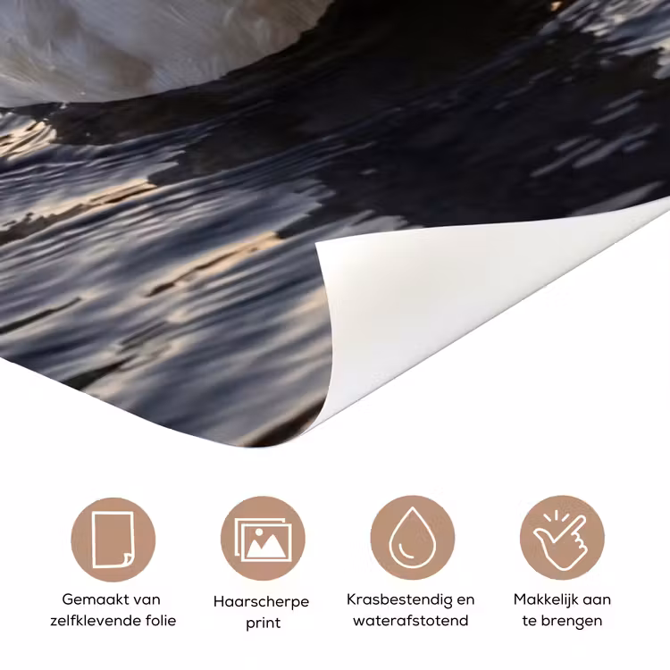 Deursticker - Eenden - Water - Natuur — 3