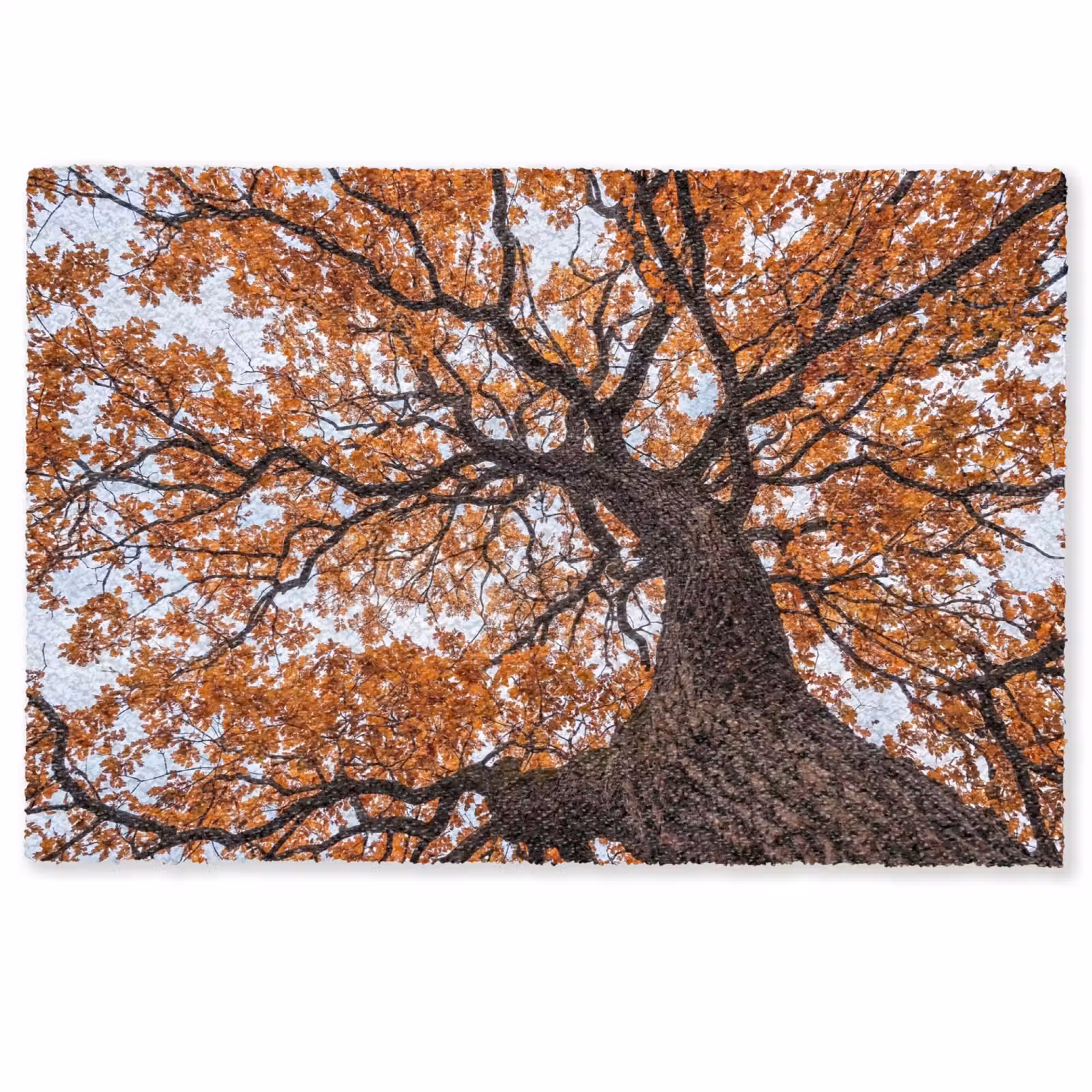 Deurmat - Boom - Bladerdak - Herfst - Oranje - Sfeervol — 1