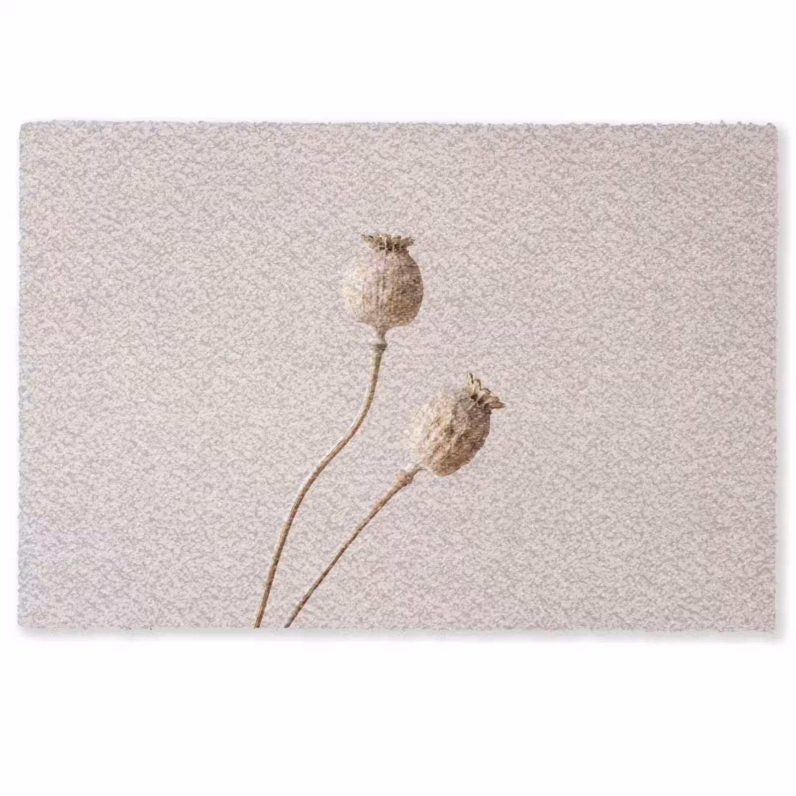 Deurmat - Papaverbollen - Droogbloemen - Minimalistisch - Beige - Rustig — 1