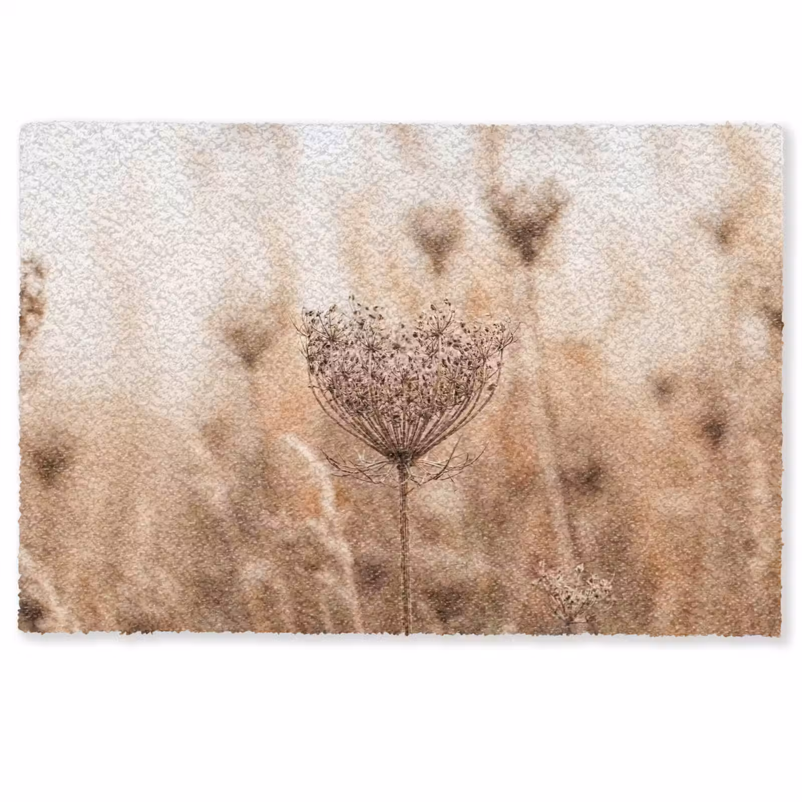Deurmat - Schermbloem - Droogbloem - Winter - Beige - Minimalistisch — 1