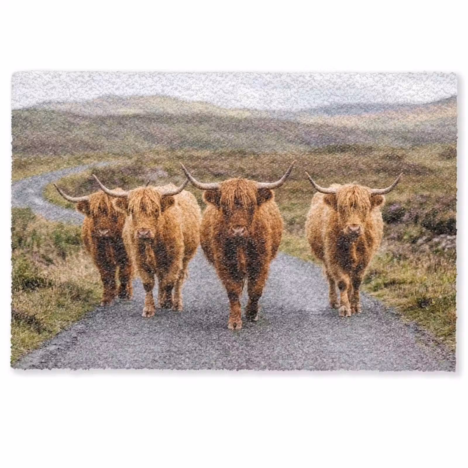 Deurmat - Schotse Hooglanders - Weg - Landschap - Kudde — 1