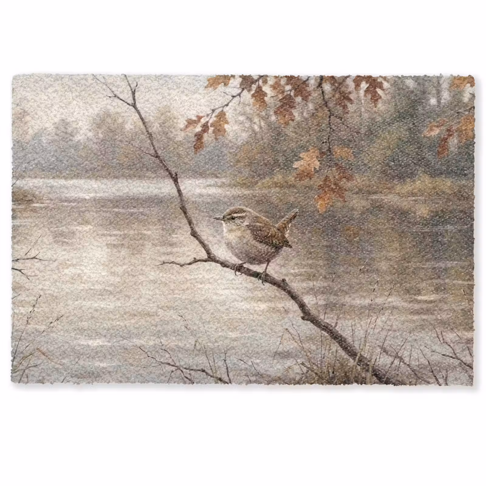 Deurmat - Winterkoninkje - Tak - Rivier - Natuur - Sfeervol — 1