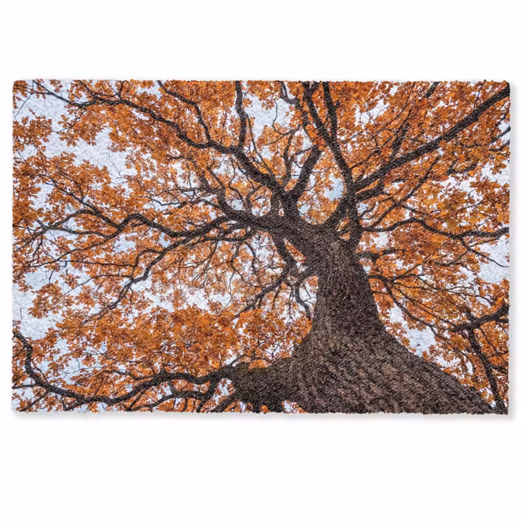 Deurmat - Boom - Bladerdak - Herfst - Oranje - Sfeervol — 1