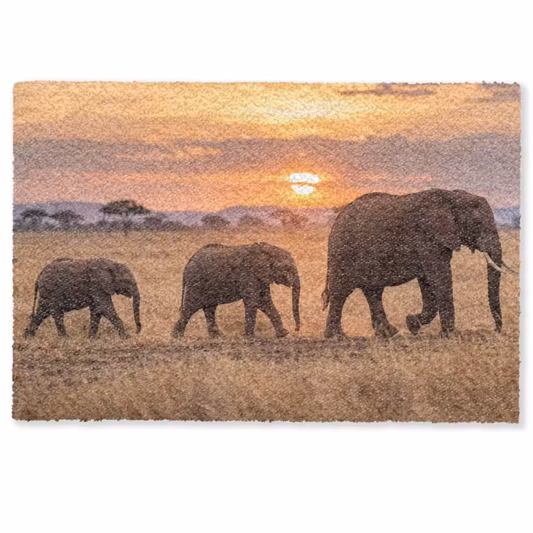 Deurmat - Olifanten - Savanne - Zonsondergang - Afrika - Warm — 1