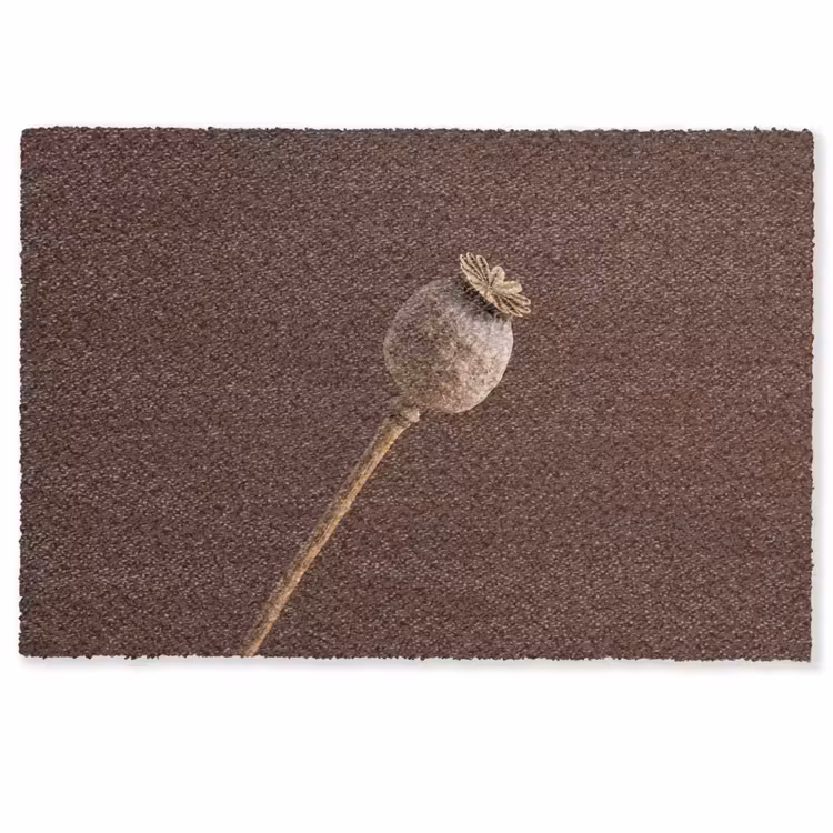 Deurmat - Papaverbol - Droogbloem - Bruin - Minimalistisch — 1