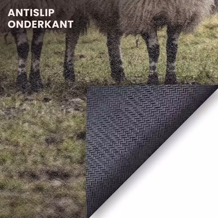 Deurmat - Schapen - Rij - Weide - Dieren - Platteland — 6