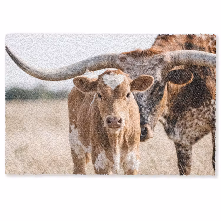 Deurmat - Texas Longhorn - Kalf - Weide - Dieren — 1