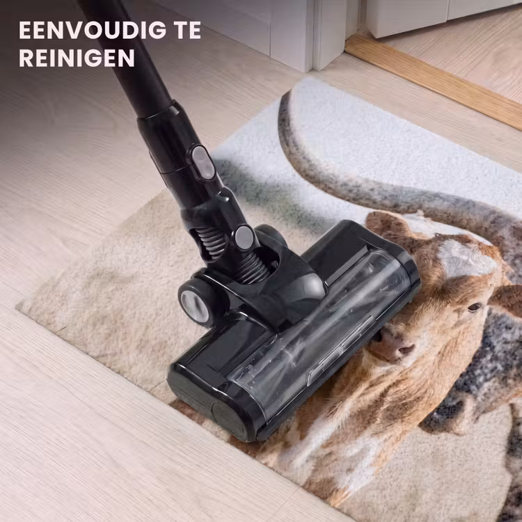 Deurmat - Texas Longhorn - Kalf - Weide - Dieren — 9