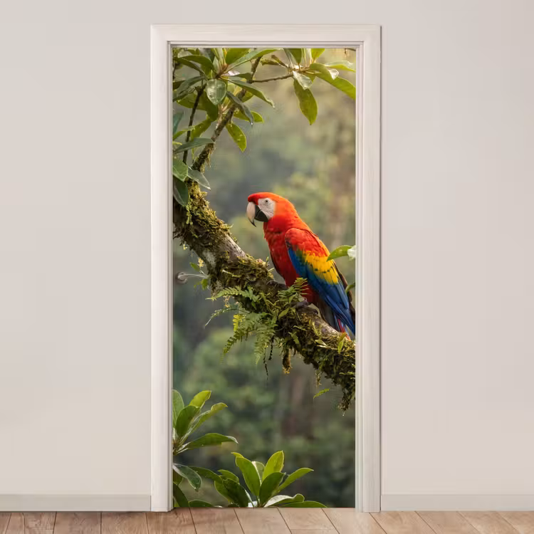 Deursticker - Ara - Jungle - Rood — 1