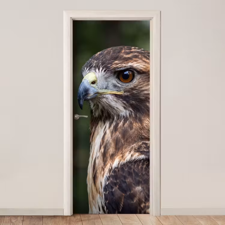 Deursticker - Buizerd - Roofvogel - Natuur - Bruin — 1