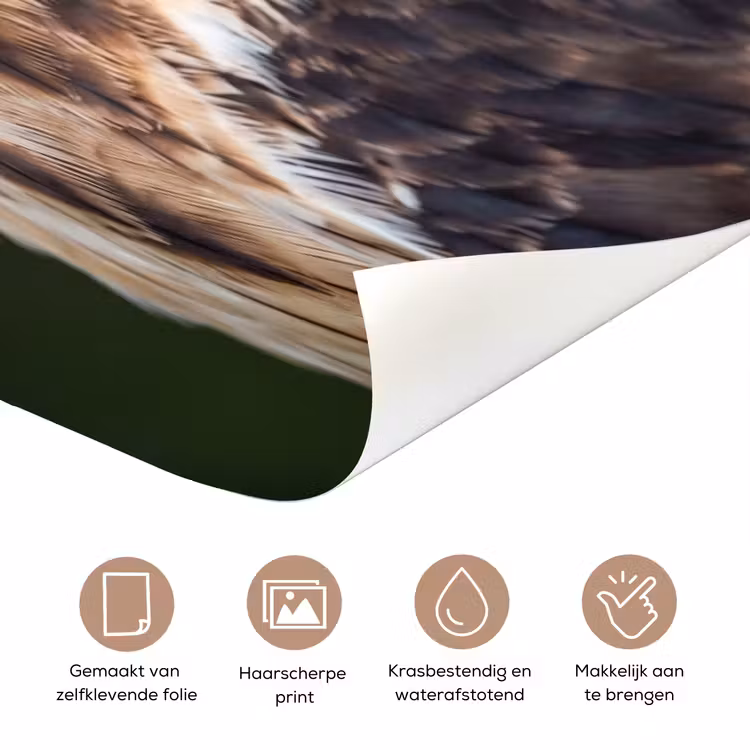 Deursticker - Buizerd - Roofvogel - Natuur - Bruin — 3