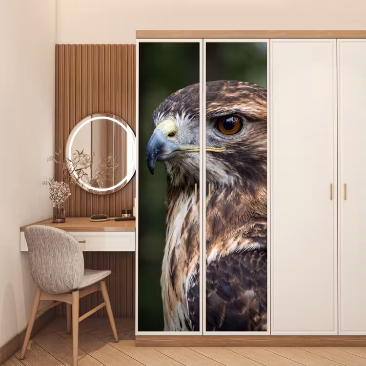 Deursticker - Buizerd - Roofvogel - Natuur - Bruin — 5