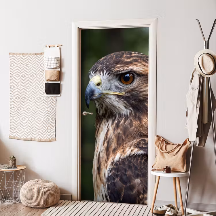 Deursticker - Buizerd - Roofvogel - Natuur - Bruin — 8