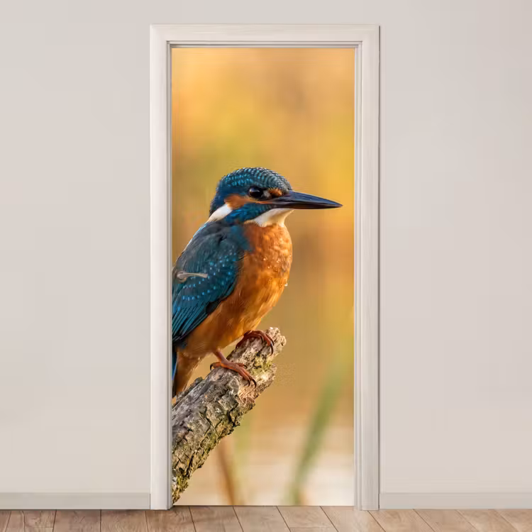 Deursticker - IJsvogel - Tak - Water - Kleurrijk - Levendig — 1
