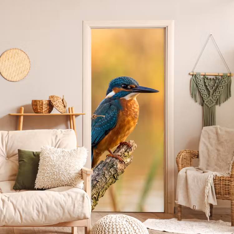 Deursticker - IJsvogel - Tak - Water - Kleurrijk - Levendig — 4
