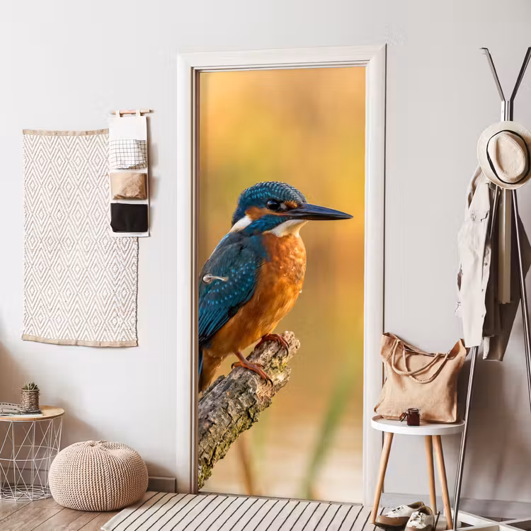 Deursticker - IJsvogel - Tak - Water - Kleurrijk - Levendig — 8