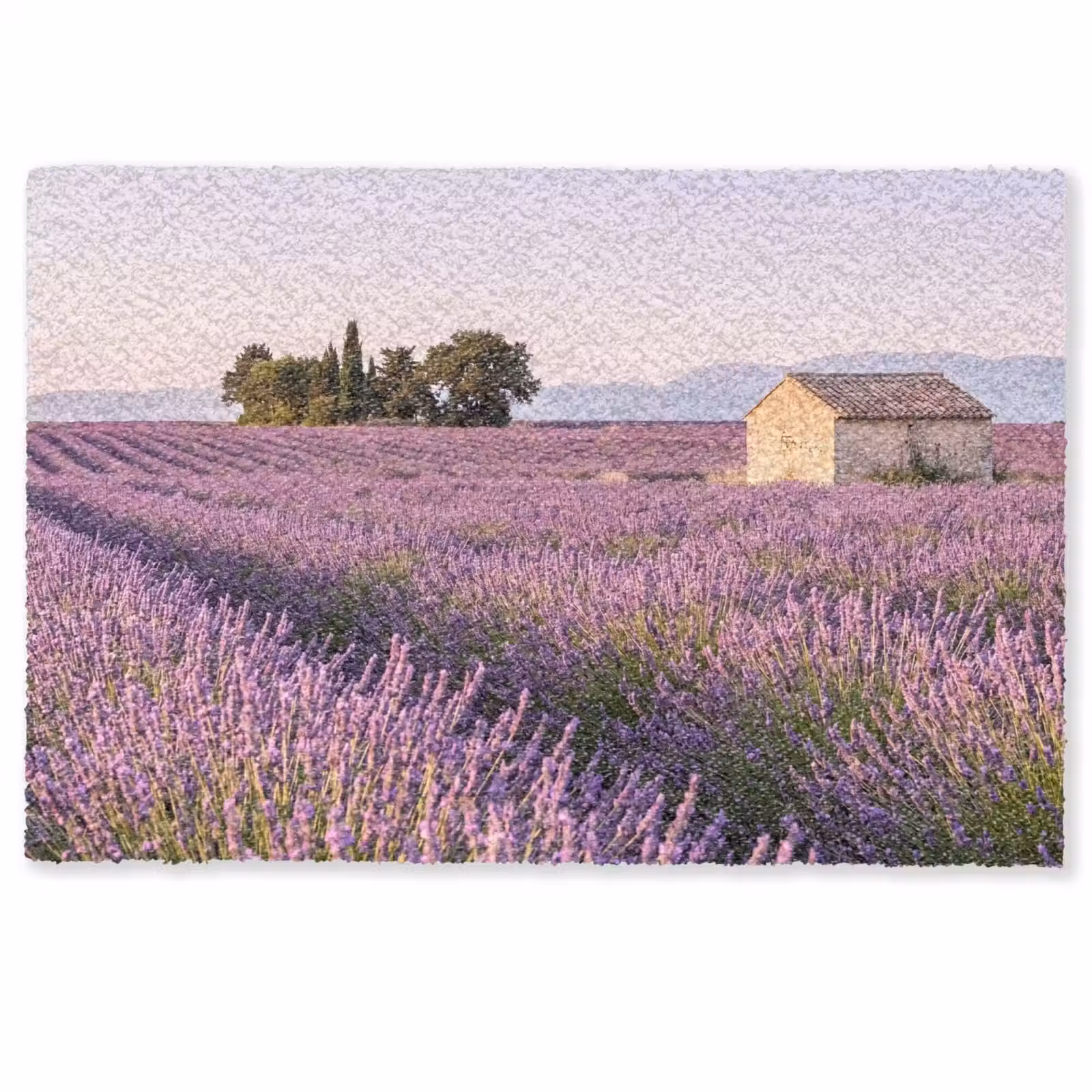 Deurmat - Lavendel - Landschap - Sereen - Paars — 1