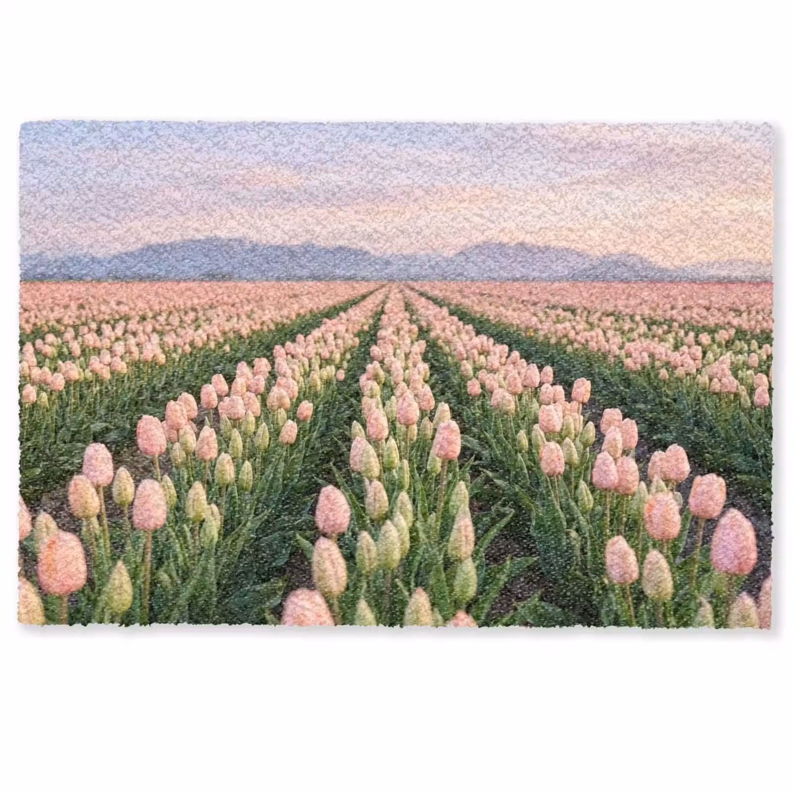 Deurmat - Tulpen - Landschap - Roze — 1