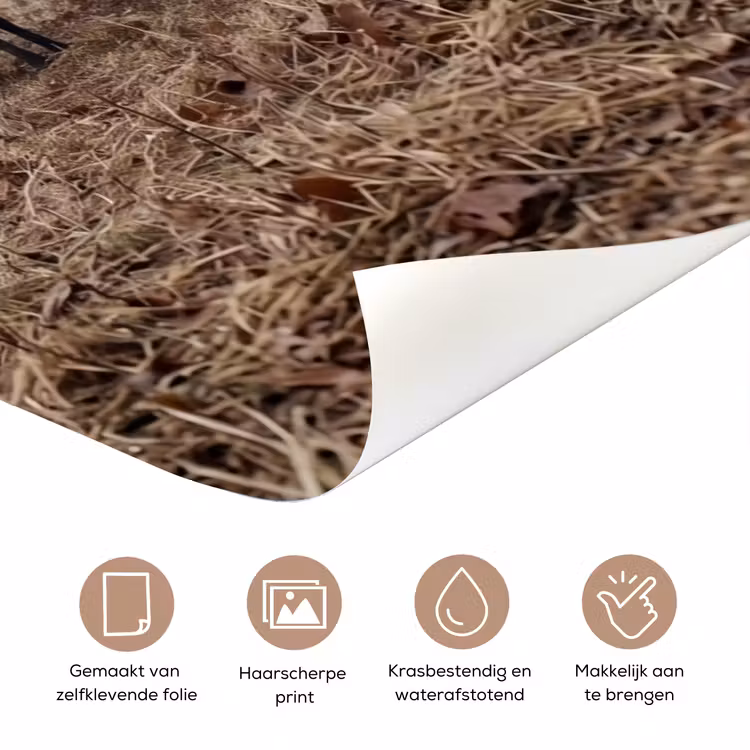 Deursticker - Boerderijdieren - Groep - Mist - Natuur - Rustiek — 3