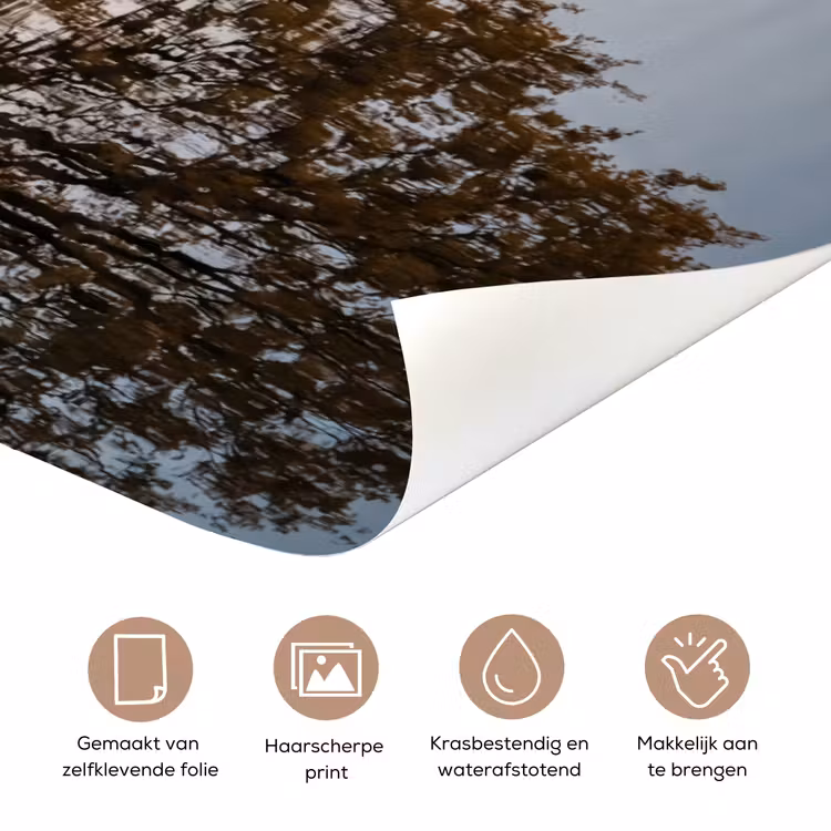 Deursticker - Bomen - Reflectie - Water - Zonsopgang - Serene — 3