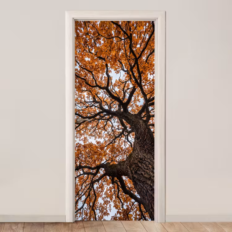 Deursticker - Boom - Bladerdak - Herfst - Oranje - Sfeervol — 1