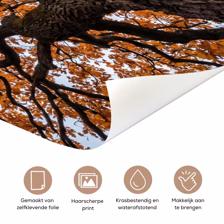 Deursticker - Boom - Bladerdak - Herfst - Oranje - Sfeervol — 3
