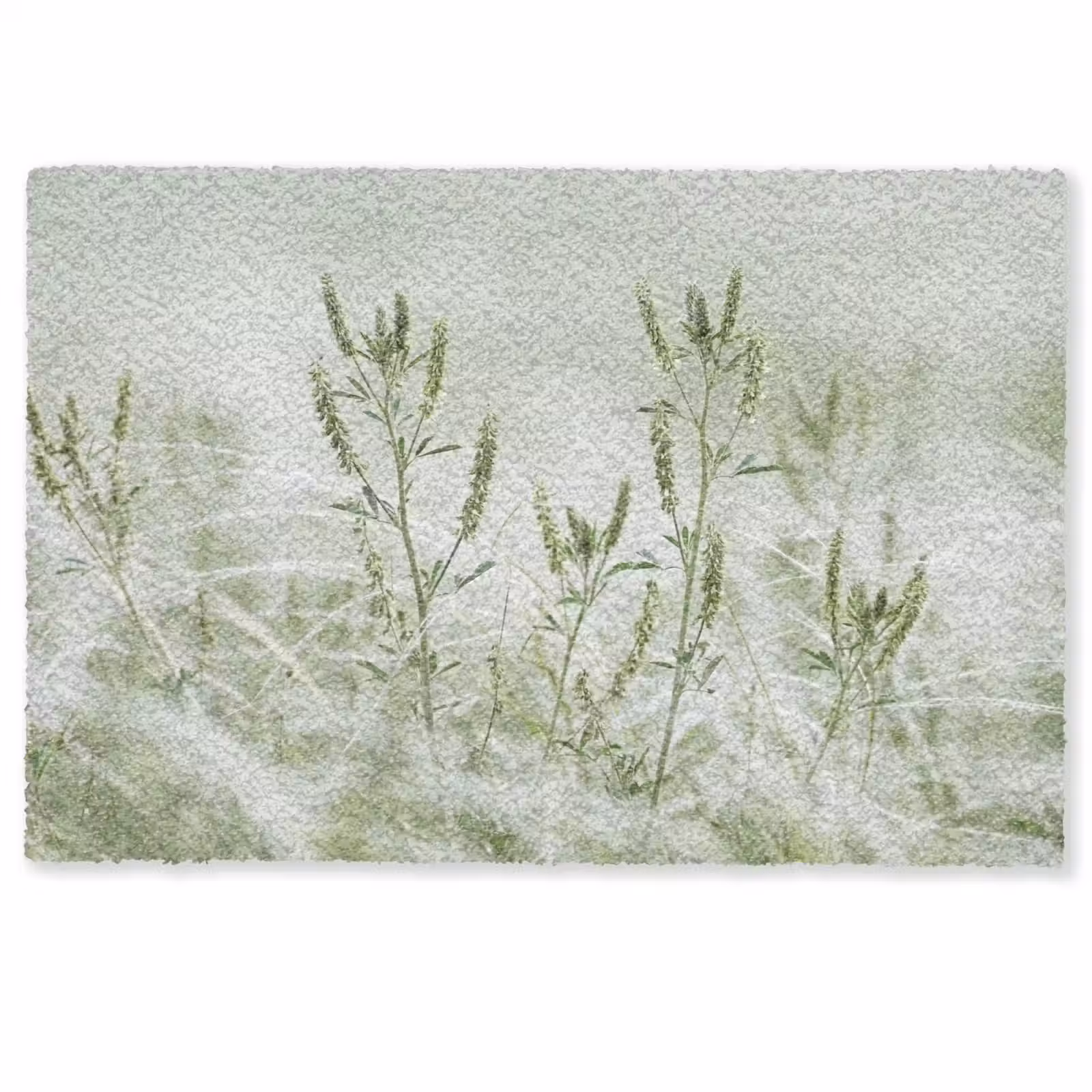 Deurmat - Grassen - Minimalistisch - Groen — 1