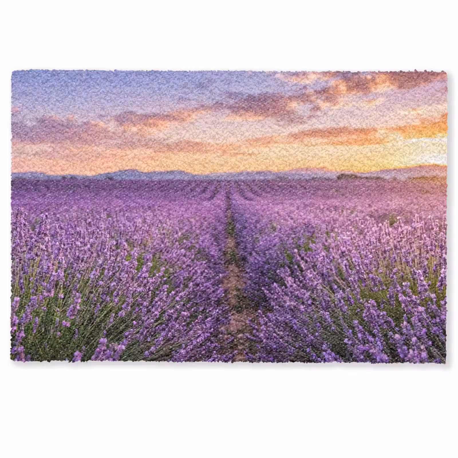 Deurmat - Lavendel - Veld - Natuur - Paars — 1