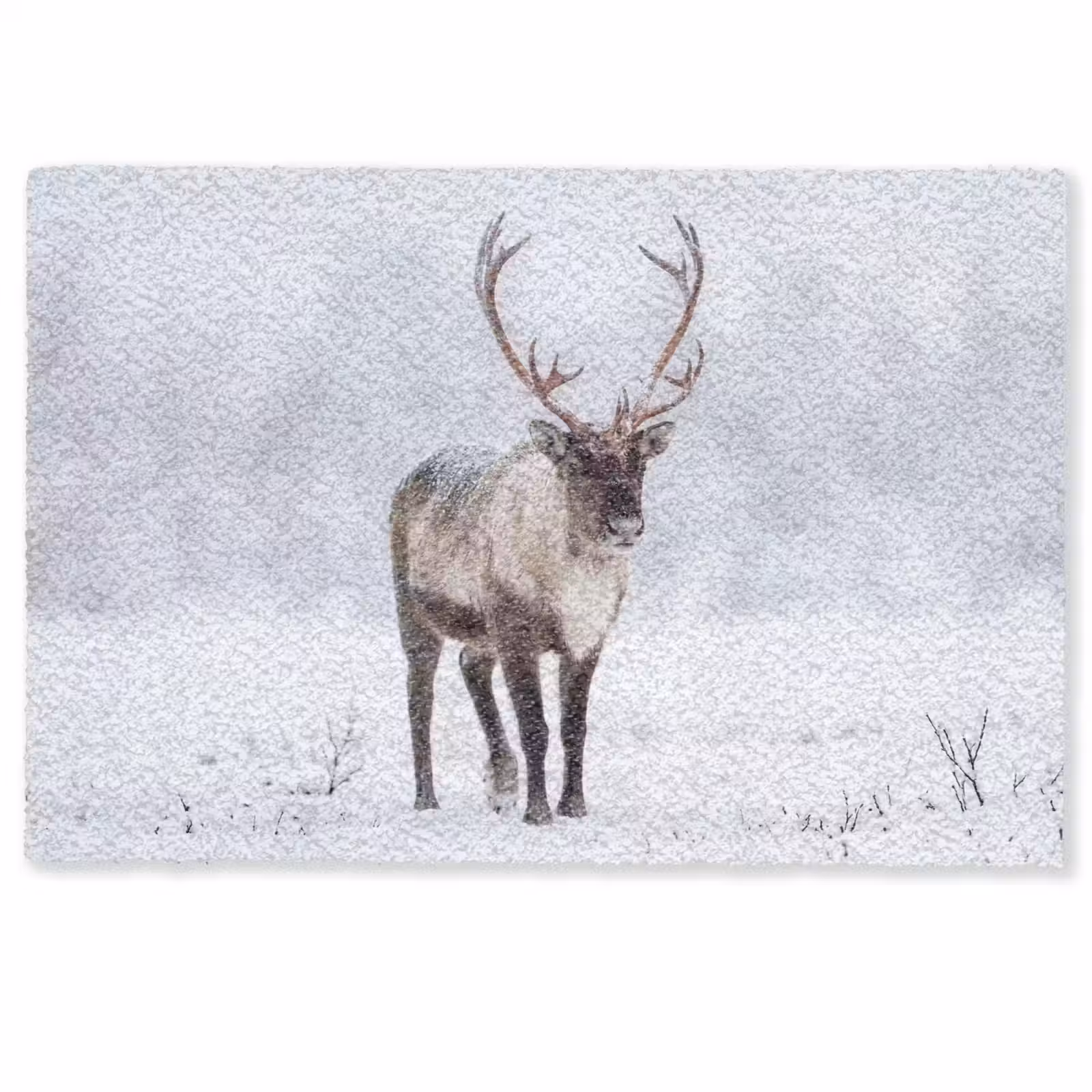 Deurmat - Rendier - Gewei - Toendra - Sneeuw - Wild — 1
