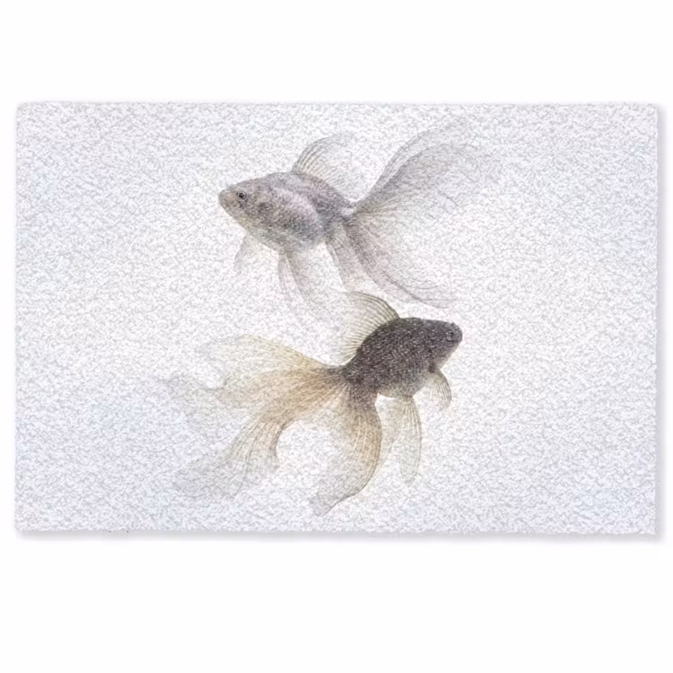 Deurmat - Goudvissen - Modern - Wit — 1