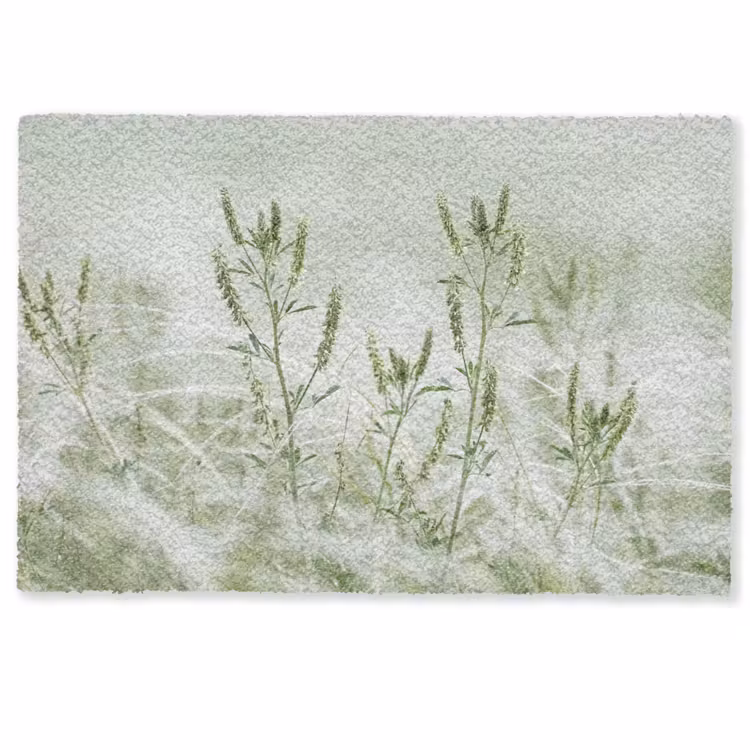 Deurmat - Grassen - Minimalistisch - Groen — 1