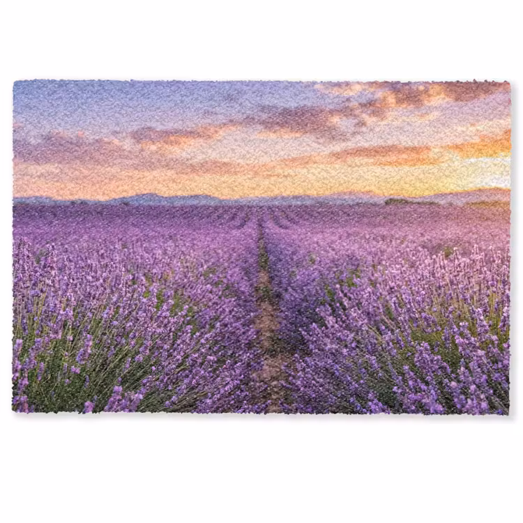 Deurmat - Lavendel - Veld - Natuur - Paars — 1