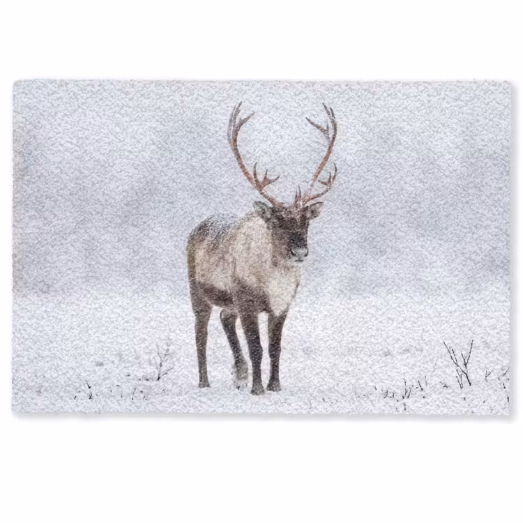Deurmat - Rendier - Gewei - Toendra - Sneeuw - Wild — 1