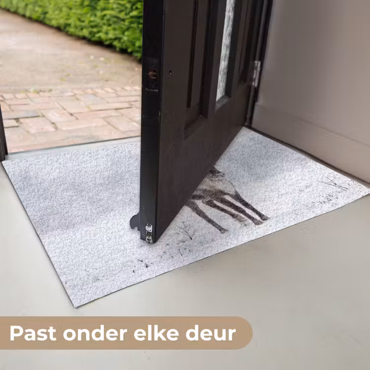 Deurmat - Rendier - Gewei - Toendra - Sneeuw - Wild — 7
