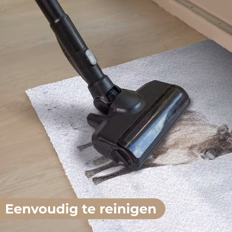 Deurmat - Rendier - Gewei - Toendra - Sneeuw - Wild — 9