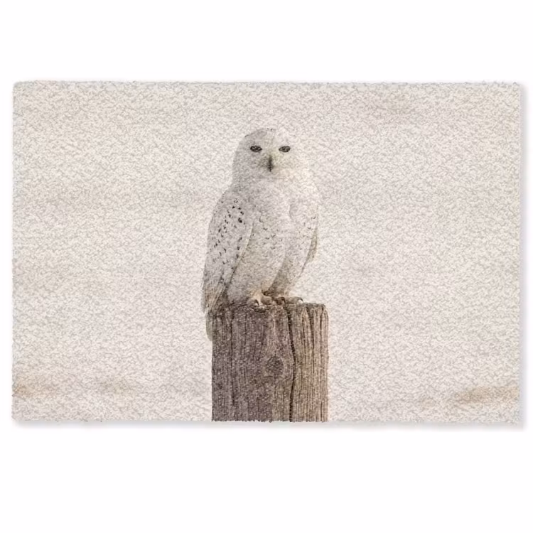 Deurmat - Sneeuwuil - Paal - Winter - Portret - Majestueus — 1