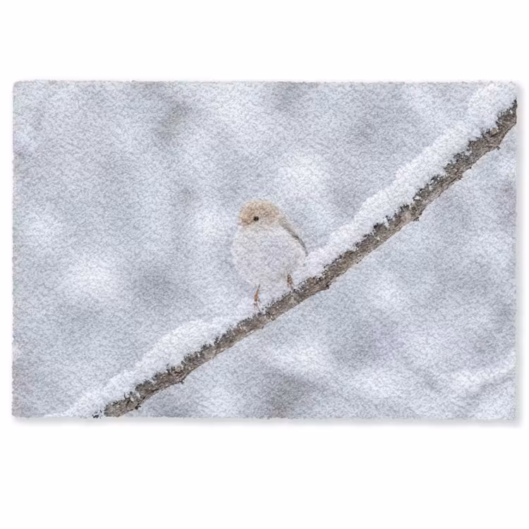 Deurmat - Vogeltje - Sneeuw - Tak - Winter - Zacht — 1