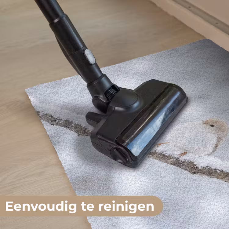 Deurmat - Vogeltje - Sneeuw - Tak - Winter - Zacht — 9