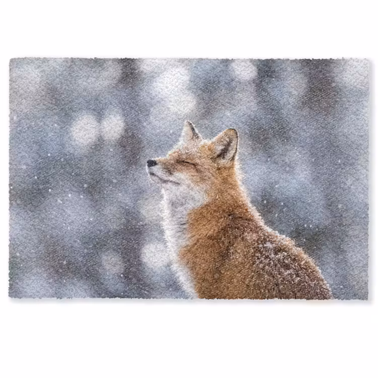 Deurmat - Vos - Sneeuwval - Portret - Winter - Sfeervol — 1