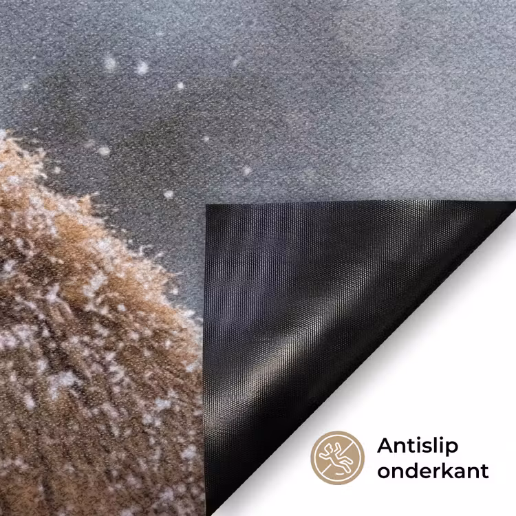 Deurmat - Vos - Sneeuwval - Portret - Winter - Sfeervol — 6