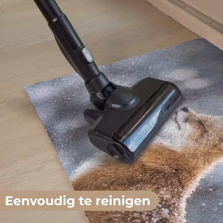 Deurmat - Vos - Sneeuwval - Portret - Winter - Sfeervol — 9