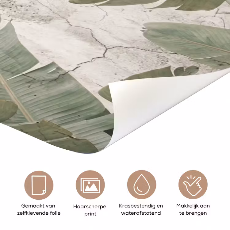 Deursticker - Bananenbladeren - Beton - Groen — 3